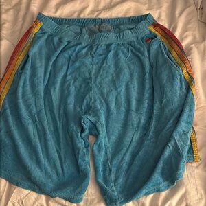 Aviator Nation XXL Shorts